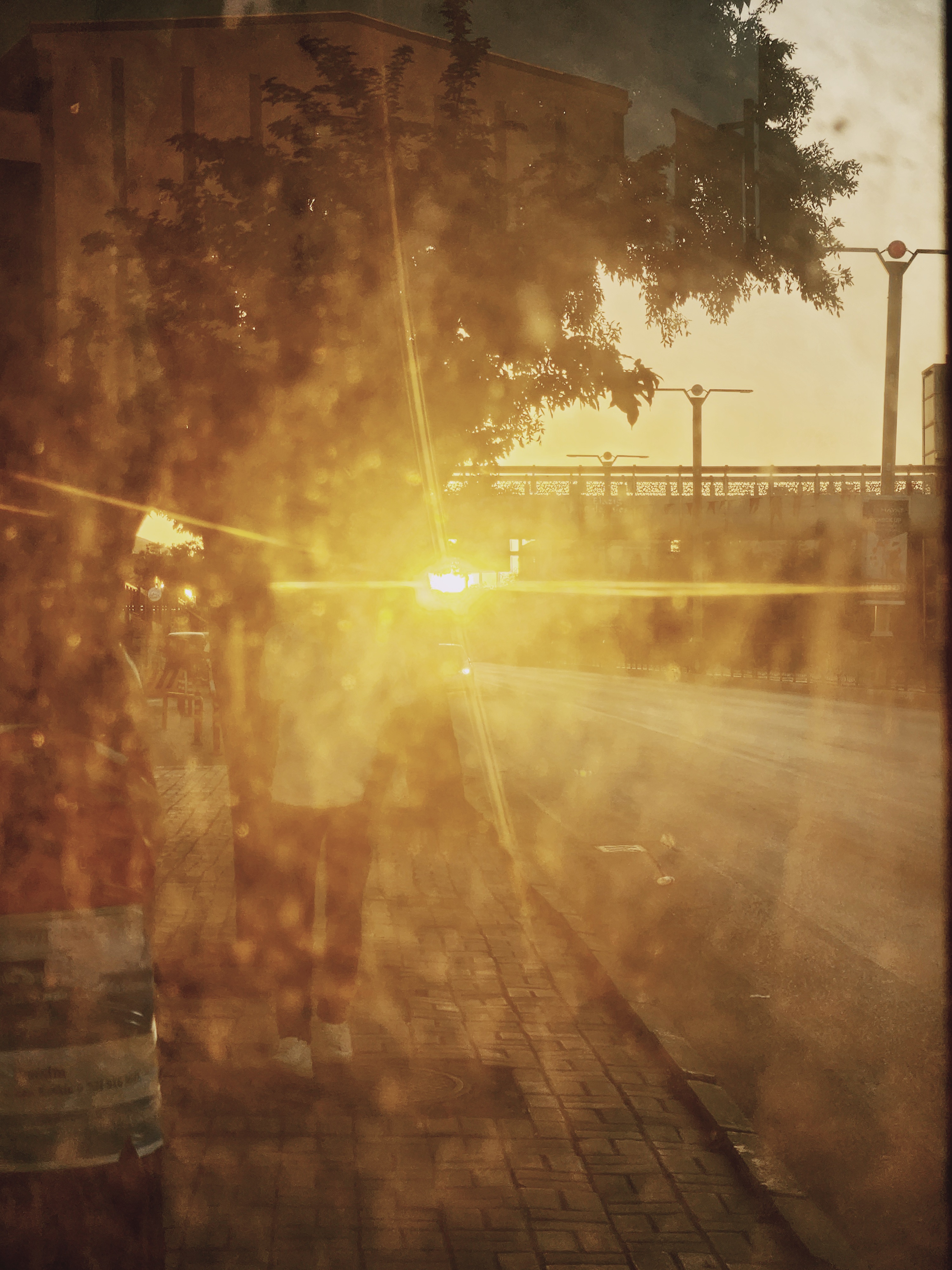 Sun Set