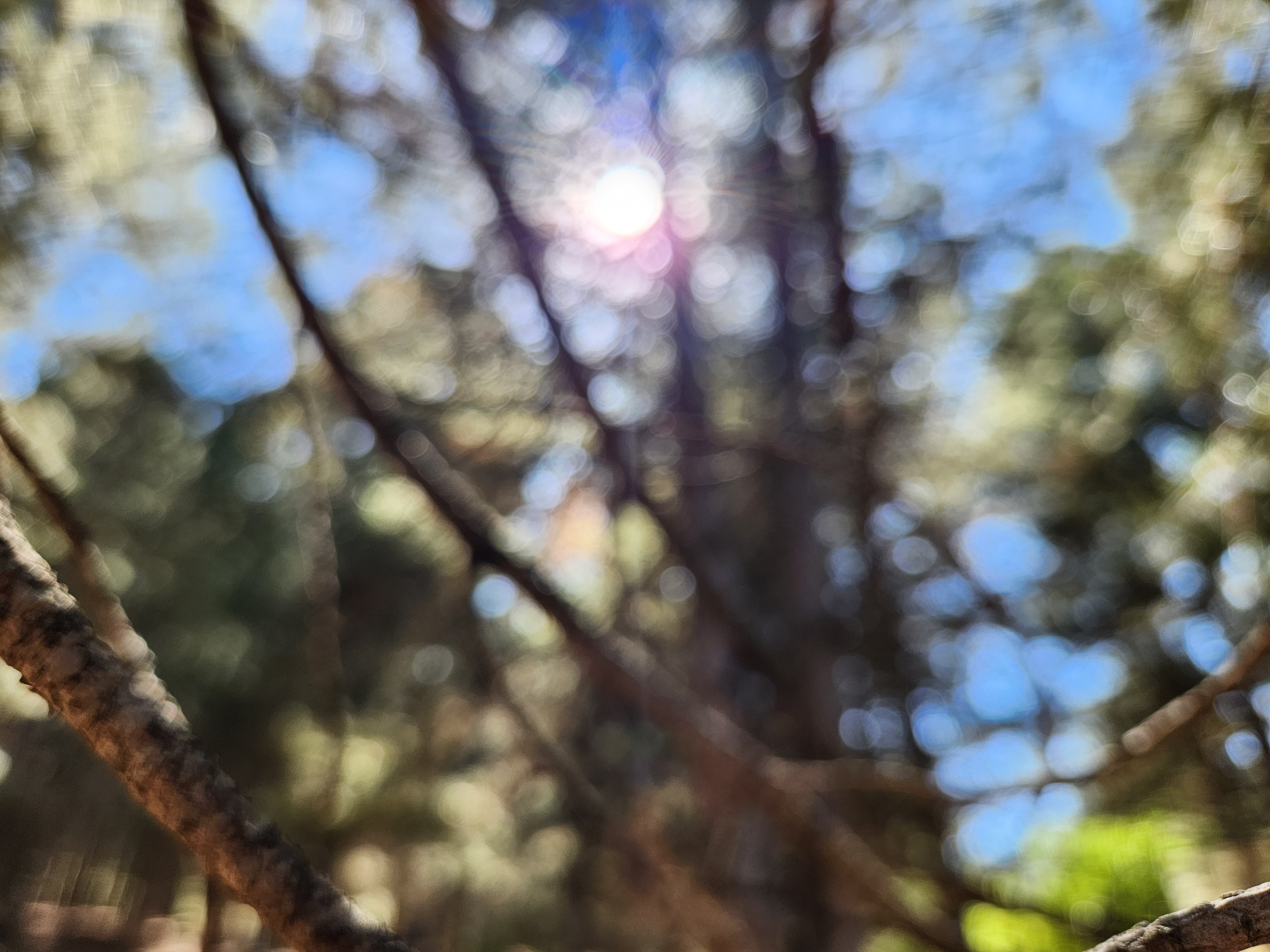 Bokeh